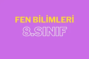 8. Sınıf LGS Fen Bilimleri: Kaldıraçlar 8. sınıf fen bilimleri