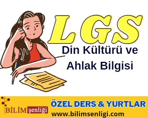 lgs-din LGS Din