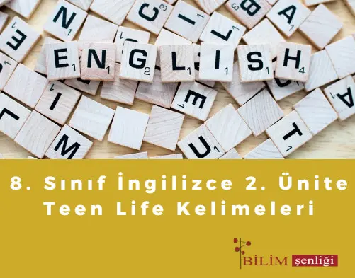 Teen Life Kelimeleri 8. Sınıf İngilizce 2. Ünite Teen Life Kelimeleri