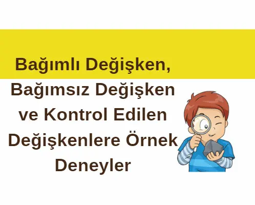 Bağımlı Değişken, Bağımsız Değişken ve Kontrol Edilen Değişkenlere Örnek Deney Bağımlı Değişken