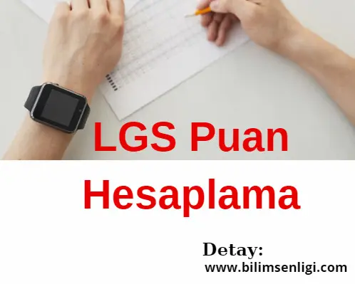 lgs-puan-hesaplama LGS Puan Hesaplama