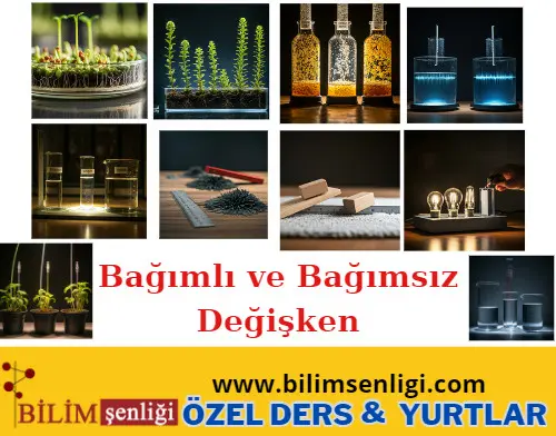 Bağımlı ve Bağımsız Değişken