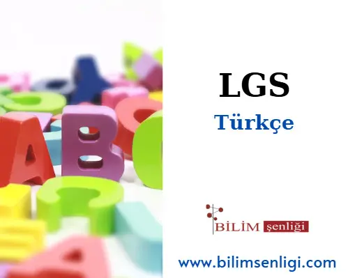 LGS Türkçe