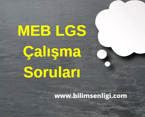 MEB LGS Çalışma Soruları