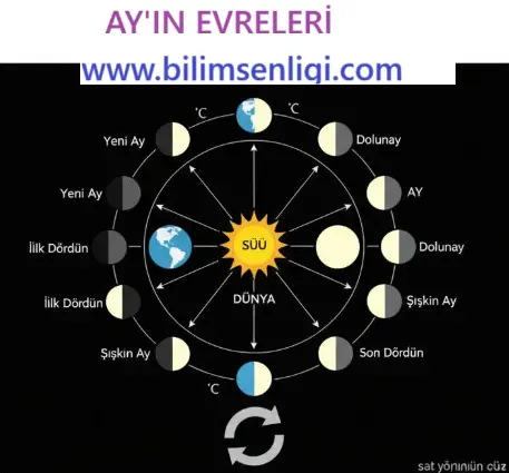 5.Sınıf Ay'ın Evreleri Ay'ın Evreleri