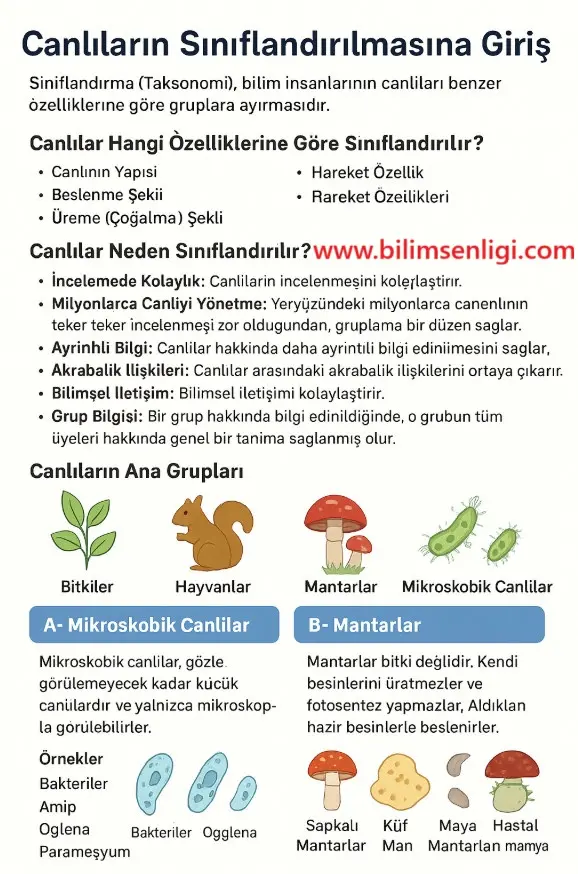 5.Sınıf Mikroskobik Canlılar ve Mantarlar Canlıların Sınıflandırılması