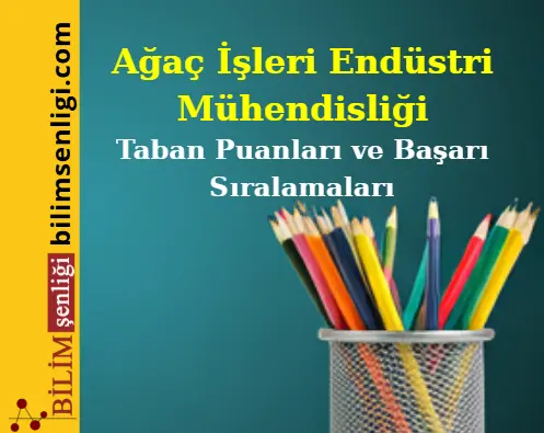 Ağaç İşleri Endüstri Mühendisliği (Sayısal) Taban Puanları ve Sıralamaları (2025/2024) Ağaç İşleri Endüstri Mühendisliği