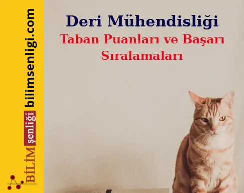 Deri Mühendisliği (Sayısal) Taban Puanları ve Sıralamaları (2025/2024) Deri Mühendisliği bölümü