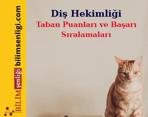 Diş Hekimliği Taban Puanları (Sayısal) Taban Puanları ve Sıralamaları (2025/2024) Diş Hekimliği bölümü