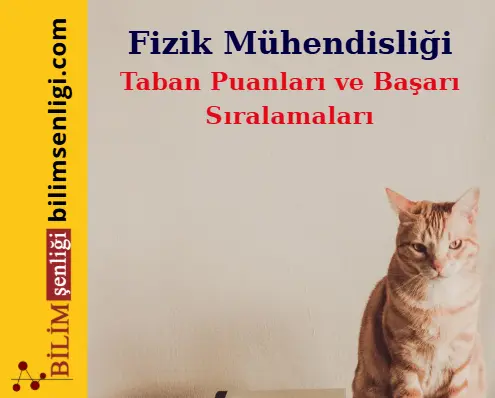 Fizik Mühendisliği Bölümü