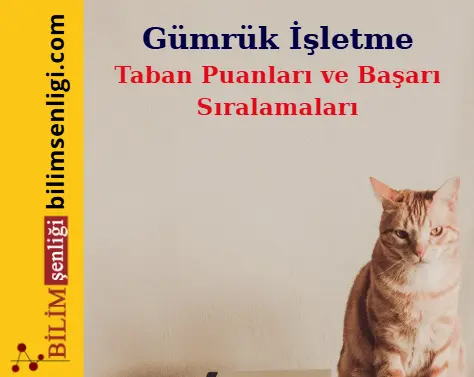 Gümrük İşletme Bölümü