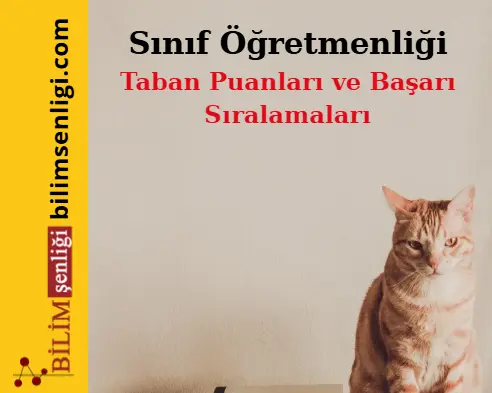 Sınıf Öğretmenliği Bölümü (Eşit Ağırlık) Taban Puanları ve Sıralamaları (2025/2024) Sınıf Öğretmenliği Bölümü