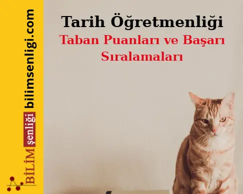 Tarih Öğretmenliği Bölümü (Sözel) Taban Puanları ve Sıralamaları (2025/2024) Tarih Öğretmenliği Bölümü