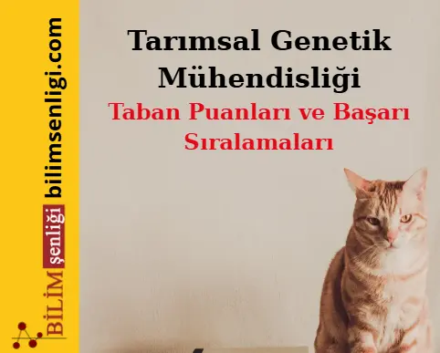 Tarımsal Genetik Mühendisliği Bölümü (Sayısal) Taban Puanları ve Sıralamaları (2025/2024) Tarımsal Genetik Mühendisliği Bölümü