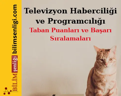 Televizyon Haberciliği ve Programcılığı Bölümü (Sözel) Taban Puanları ve Sıralamaları (2025/2024) Televizyon Haberciliği ve Programcılığı Bölümü