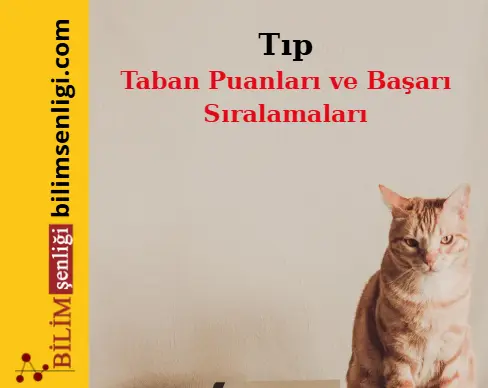 Tıp Bölümü