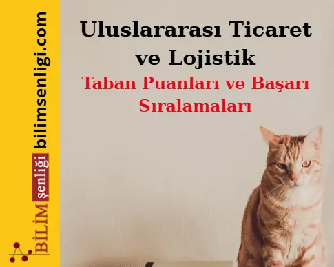 Uluslararası Ticaret ve Lojistik Bölümü (Eşit Ağırlık) Taban Puanları ve Sıralamaları (2025/2024) Uluslararası Ticaret ve Lojistik Bölümü