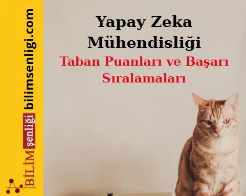 Yapay Zeka Mühendisliği Bölümü (Sayısal) Taban Puanları ve Sıralamaları (2025/2024) Yapay Zeka Mühendisliği Bölümü
