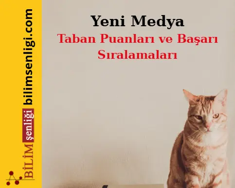 Yeni Medya Bölümü