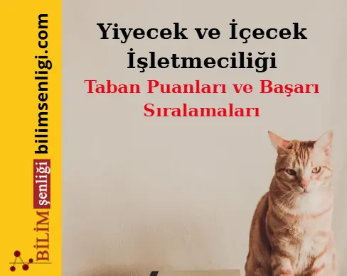 Yiyecek ve İçecek İşletmeciliği Bölümü (Eşit Ağırlık) Taban Puanları ve Sıralamaları (2025/2024) Yiyecek ve İçecek İşletmeciliği Bölümü